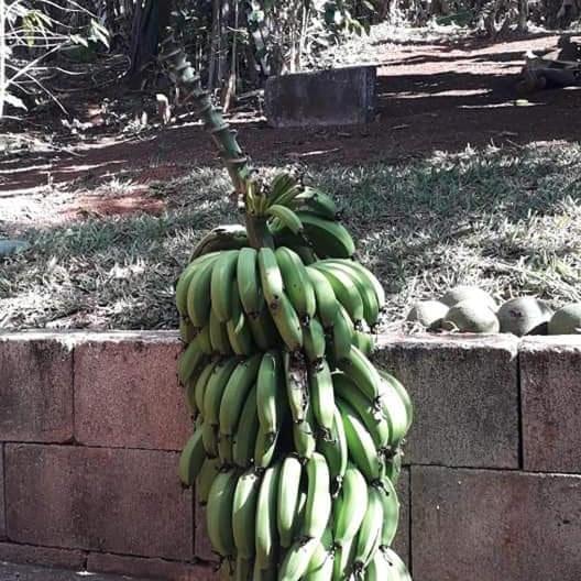 Villa Casa Grande, Bem Espacosa, Em Itambe Do Mato Dentro, Cabeca De Boi Exterior foto